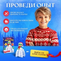 Набор для опытов &laquo;Новогодние кристаллы&raquo;, со змеей