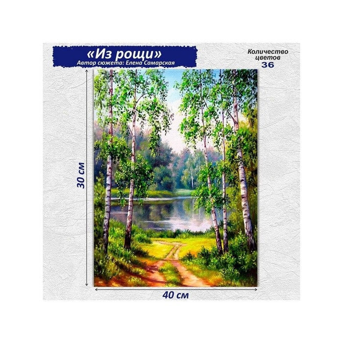Алмазная мозаика &laquo;Из рощи&raquo;, 30 &times; 40 см, 36 цветов, без подрамника