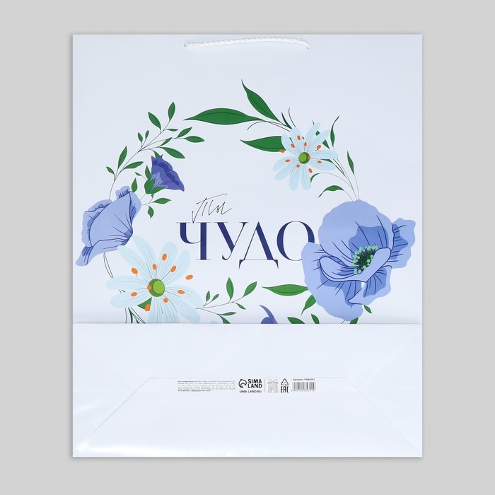 Пакет подарочный ламинированный, упаковка, &laquo;Ты чудо&raquo;, 40 х 49 х 15 см