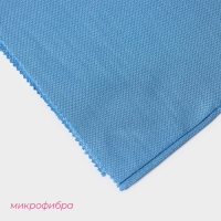 Салфетка для уборки Доляна, для стекол и зеркал, 40&times;50 см, цвет голубой