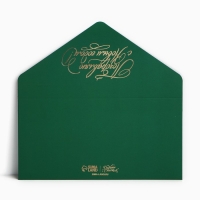Конверт для денег подарочный &laquo;Поздравляю&raquo;, шары, софт тач, тиснение, 19 х 9.5 см, Новый год