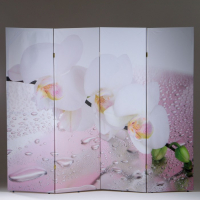 Ширма "Орхидея и капли воды", 200 х 160 см