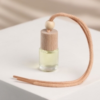 Ароматизатор подвесной &laquo;Сочного настроения&raquo;, аромат: цитрус, 5 мл