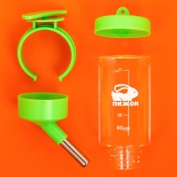 Поилка для грызунов "Пижон", 80 мл, зелёная Поилка для грызунов "Пижон", 80 мл, зелёная