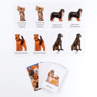 Набор карточек &laquo;Породы собак&raquo;. Часть 2