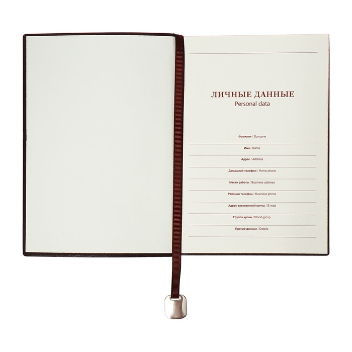 Органайзер на кольцах, B6, 116л, клетка, обл.кожзам, коричневый срез, Черный Органайзер на кольцах, B6, 116л, клетка, обл.кожзам, коричневый срез, Черный