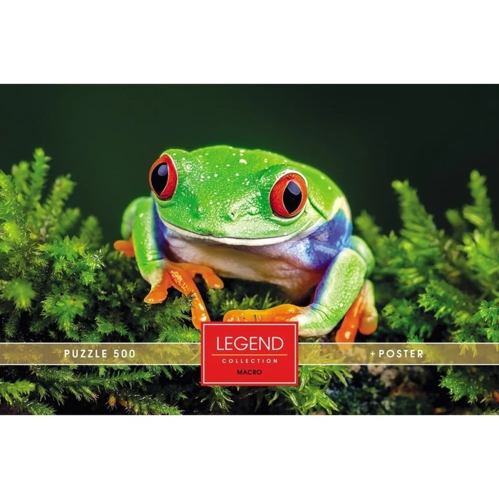 Пазлы &laquo;Царевна Лягушка&raquo; в подарочной коробке, 500 элементов + постер