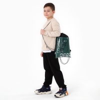 Мешок для обуви &laquo;Динозавр&raquo; 30 х 40 см