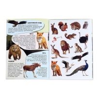 Активити-книга с наклейками и растущими игрушками &laquo;Животные планеты&raquo;, 12 стр.