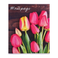 Комплект тетрадей из 5 штук (4 разные + 1 повторяющаяся), 48 листов в клетку Calligrata "Цветы", обложка мелованная бумага, блок №2, белизна 75% (серые листы) Комплект тетрадей из 5 штук (4 разные + 1 повторяющаяся), 48 листов в клетку Calligrata "Цветы", обложка мелованная бумага, блок №2, белизна 75% (серые листы)