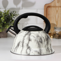 Чайник со свистком из нержавеющей стали Доляна &laquo;Каррар&raquo;, 2,8 л