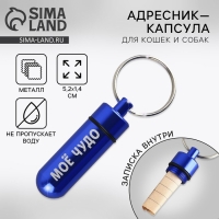 Адресник &laquo;Моё чудо&raquo; для вложения записки, капсула 5.2х1.4 см