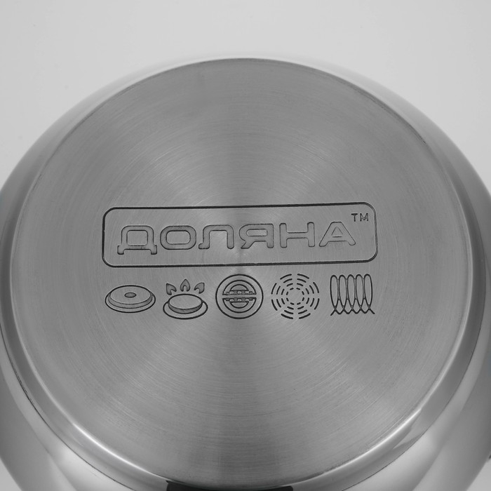 Кастрюля из нержавеющей стали Доляна &laquo;Вернер&raquo;, 1,9 л, d=16 см, с крышкой