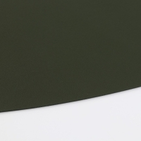 Салфетка сервировочная, плейсмат &laquo;Ботаник&raquo; 45х35 см