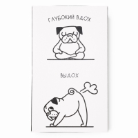 Набор мужских носков KAFTAN Sport, р. 41-44 (27-29 см), 2 пары