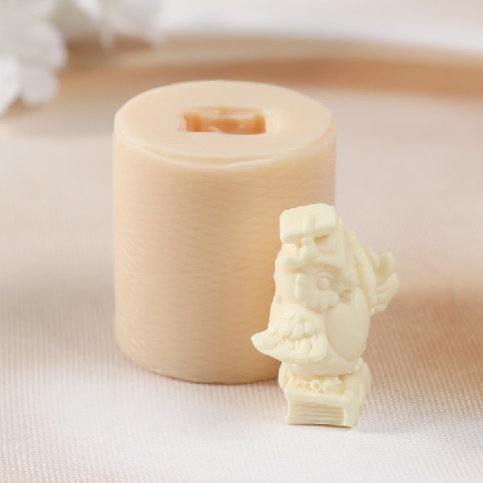 Молд силиконовый Молд силиконовый "Ученая сова №2" 4х4,2х4,2 см