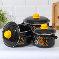 Набор эмалированных кастрюль Pasta, 3 предмета: 2 л, 3 л, 4 л, индукция Набор эмалированных кастрюль Pasta, 3 предмета: 2 л, 3 л, 4 л, индукция