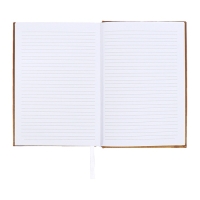 Ежедневник датированный 2024 года, А5, 176 листов, Attomex.Regent, обложка бумвинил, ляссе, блок 70 г/м2, золотой