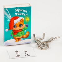 Головоломка металлическая «Развивай логику. Змейки», в шоубоксе, МИКС Головоломка металлическая «Развивай логику. Змейки», в шоубоксе, МИКС