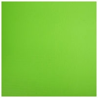 Коврик для йоги Sangh, 183&times;61&times;1,5 см, цвет зелёный