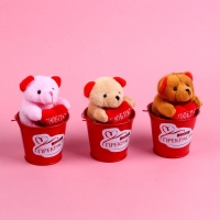 Мягкая игрушка «Самой прекрасной», медведь, цвета МИКС Мягкая игрушка «Самой прекрасной», медведь, цвета МИКС