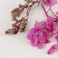 Набор сухоцветов &laquo;Сиреневая дымка&raquo;