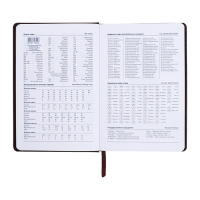 Ежедневник недатированный, А5, 140л, клетка, обл.кожзам, Стиль, темно-серый