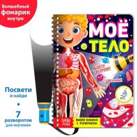 Умная книжка с фонариком &laquo;Моё тело&raquo;. Свети и изучай, 30 стр.
