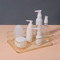 Органайзер для хранения косметических принадлежностей «РАФАЭЛЬ», 24,5 × 16,5 × 6,5 см, цвет золотистый Органайзер для хранения косметических принадлежностей «РАФАЭЛЬ», 24,5 × 16,5 × 6,5 см, цвет золотистый