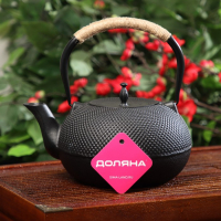 Чайник для плиты чугунный Доляна &laquo;Восточная ночь&raquo;, 1,6 л, с ситом, цвет чёрный