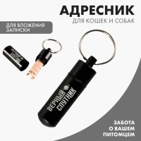 Адресник &laquo;Верный спутник&raquo; для вложения записки, капсула 5.2х1.4 см