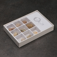 Набор "Аммониты" Набор "Аммониты"