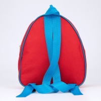 Рюкзак детский для мальчика &laquo;Тигрята&raquo;, 23х20,5 см, отдел на молнии