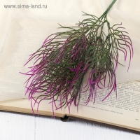 Букет "Пырей" 35 см, микс Букет "Пырей" 35 см, микс