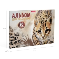 Альбом для рисования А4, 20 листов, блок 120 г/м&sup2;, на клею, Erich Krause "Wild Cat", 100% белизна, твердая подложка