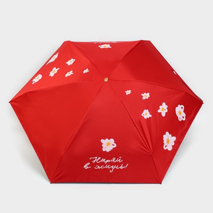 Зонт женский &laquo;Ныряй в жизнь&raquo;, 6 спиц, складывается в размер телефона.