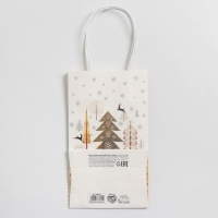 Пакет подарочный новогодний крафтовый &laquo;Сказка&raquo;, 12 х 21 х 9 см, Новый год