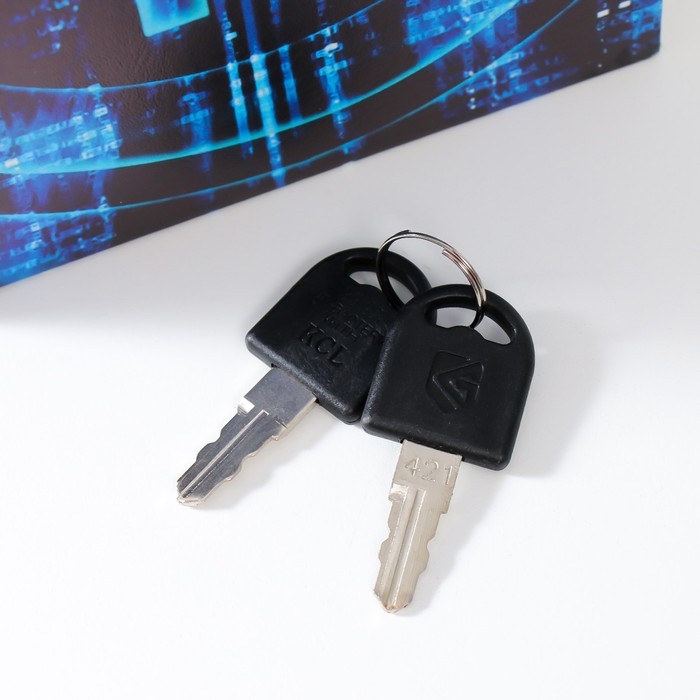 Сейф-книга дерево кожзам Сейф-книга дерево кожзам "Биткоин" 21х13х5 см