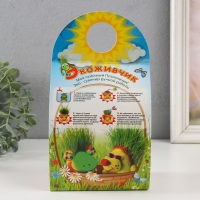 Растущий подарок травка Экоживчик "Мухомор" Растущий подарок травка Экоживчик "Мухомор"