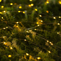 Гирлянда &laquo;Нить&raquo; 10 м роса, IP44, серебристая нить, 100 LED, свечение жёлтое, 2 режима, солнечная батарея