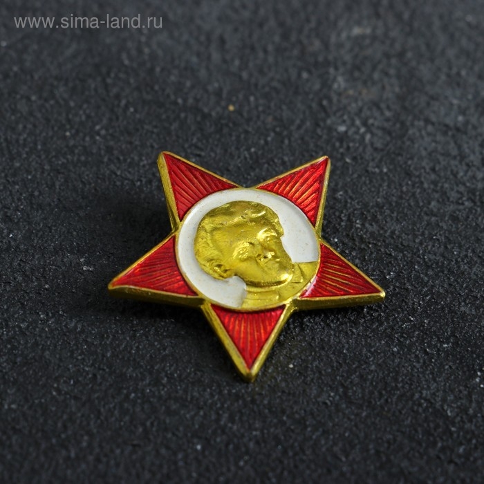 Значок Значок "Октябренок"