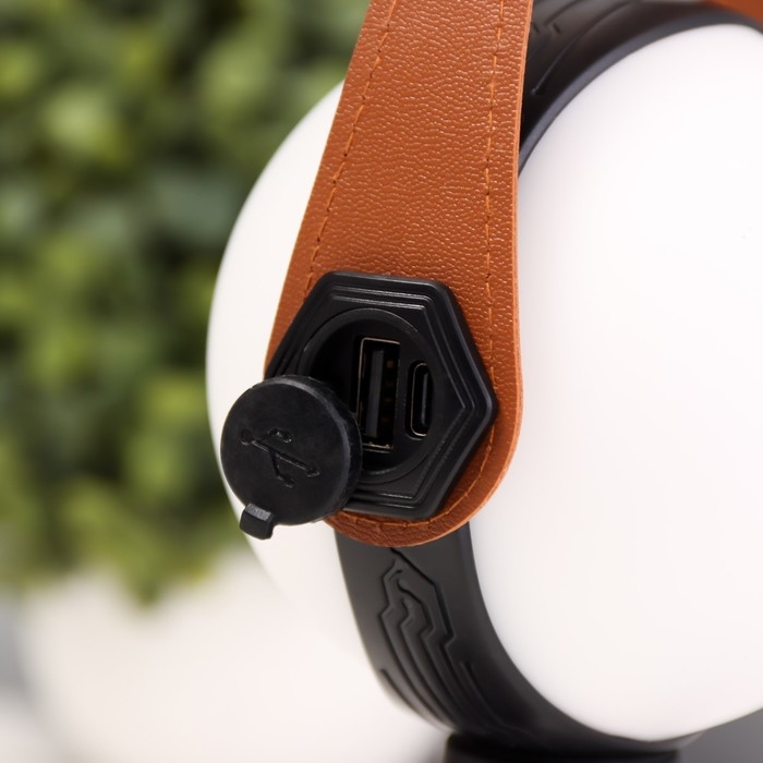 Настольная лампа Настольная лампа "Аланди" LED 15Вт USB АКБ 20х20х25 см