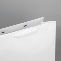 Пакет подарочный ламинированный, упаковка, «Белый», 40 х 49 х 15 см Пакет подарочный ламинированный, упаковка, «Белый», 40 х 49 х 15 см