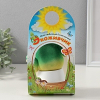 Растущий подарок травка Экоживчик "Кактус в горшочке" белый Растущий подарок травка Экоживчик "Кактус в горшочке" белый