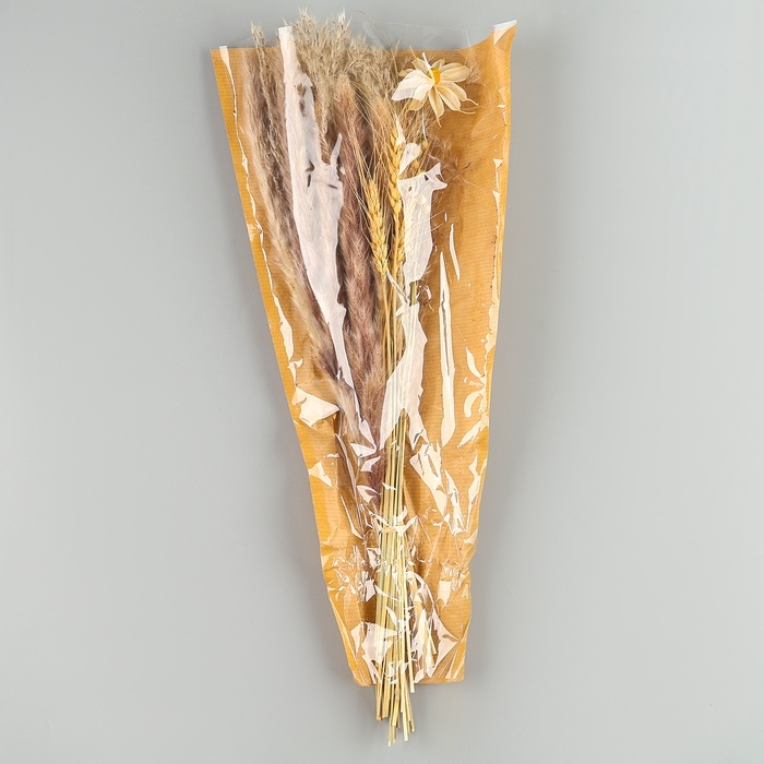 Сухоцветы &laquo;Нежность&raquo;, набор из 4 видов, 48 &times; 16 &times; 6 см