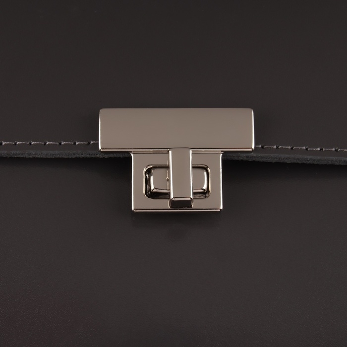 Застёжка для сумки, 3,9 &times; 2,6 см, цвет жемчужный серебряный