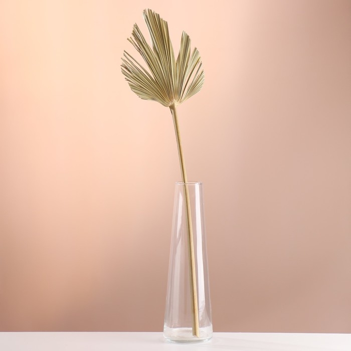 Лист пальмы Вашингтония Лист пальмы Вашингтония "Пика" 50-60 (+/- 6 см), 1 шт, цв. натуральный