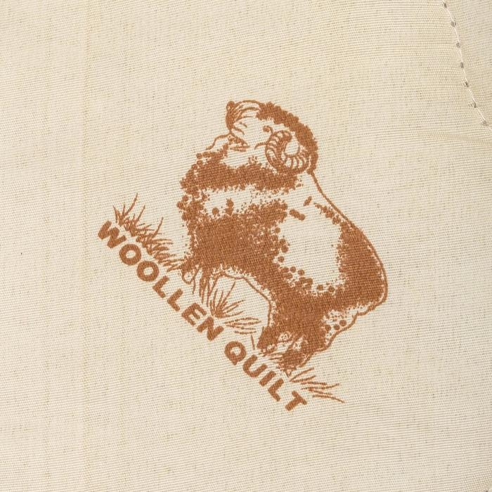 Одеяло Адамас &laquo;Овечья шерсть&raquo;, размер 172х205 &plusmn; 5 см, 300гр/м2, чехол п/э