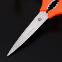 Ножницы кухонные Доляна &laquo;Саймон&raquo;, 23 см, цвет зелёный