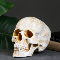 Копилка "Череп" кость, 16х13х22см Копилка "Череп" кость, 16х13х22см